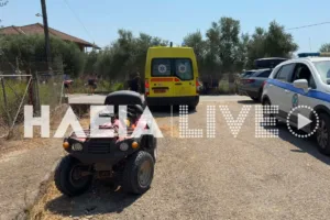 Τρομερό τροχαίο με γουρούνα στον δρόμο Μυρτιάς-Αγίου Ηλία, ΦΩΤΟ