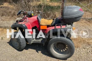 Τρομερό τροχαίο με γουρούνα στον δρόμο Μυρτιάς-Αγίου Ηλία, ΦΩΤΟ Τρομερό τροχαίο με γουρούνα στον δρόμο Μυρτιάς-Αγίου Ηλία, ΦΩΤΟ
