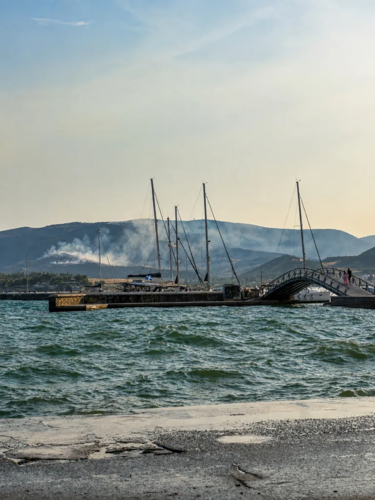 Βόλος: Αντιμετωπίστηκαν τρεις πυρκαγιές μέσα σε λίγες ώρες – Μεγάλη κινητοποίηση της Πυροσβεστικής