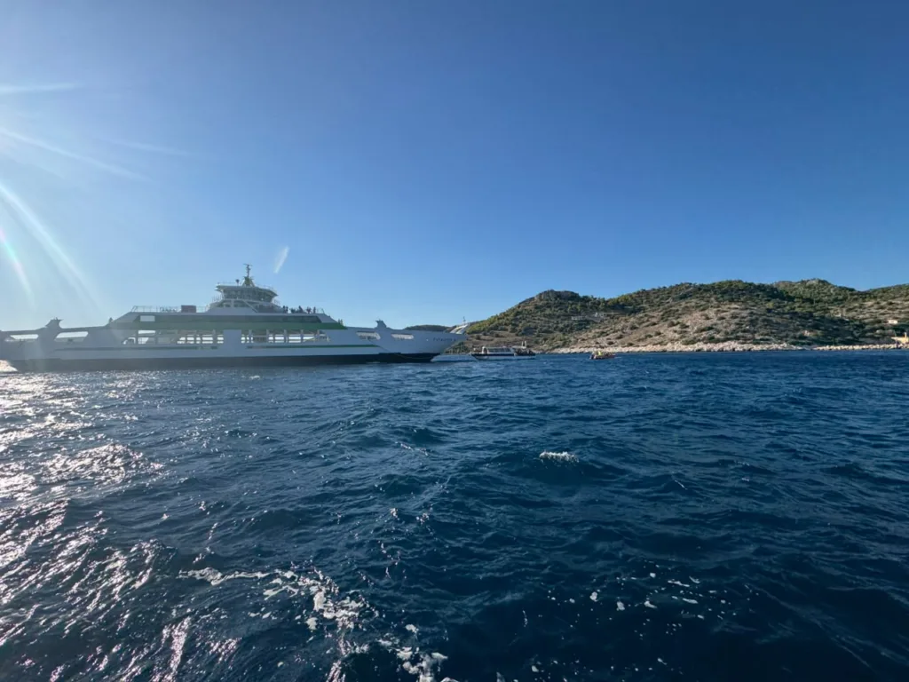 Χωρίς ενιαίο ενεργό μέτωπο η φωτιά στη Σαλαμίνα: Δύο νεκροί, 502 άνθρωποι απεγκλωβίστηκαν δια θαλάσσης Χωρίς ενιαίο ενεργό μέτωπο η φωτιά στη Σαλαμίνα: Δύο νεκροί, 502 άνθρωποι απεγκλωβίστηκαν δια θαλάσσης
