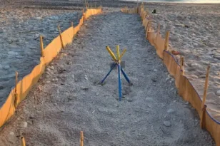 Χανιά: Beach party σε «μαιευτήριο» καρέτα-καρέτα – Η κίνηση που άλλαξε τα σχέδια