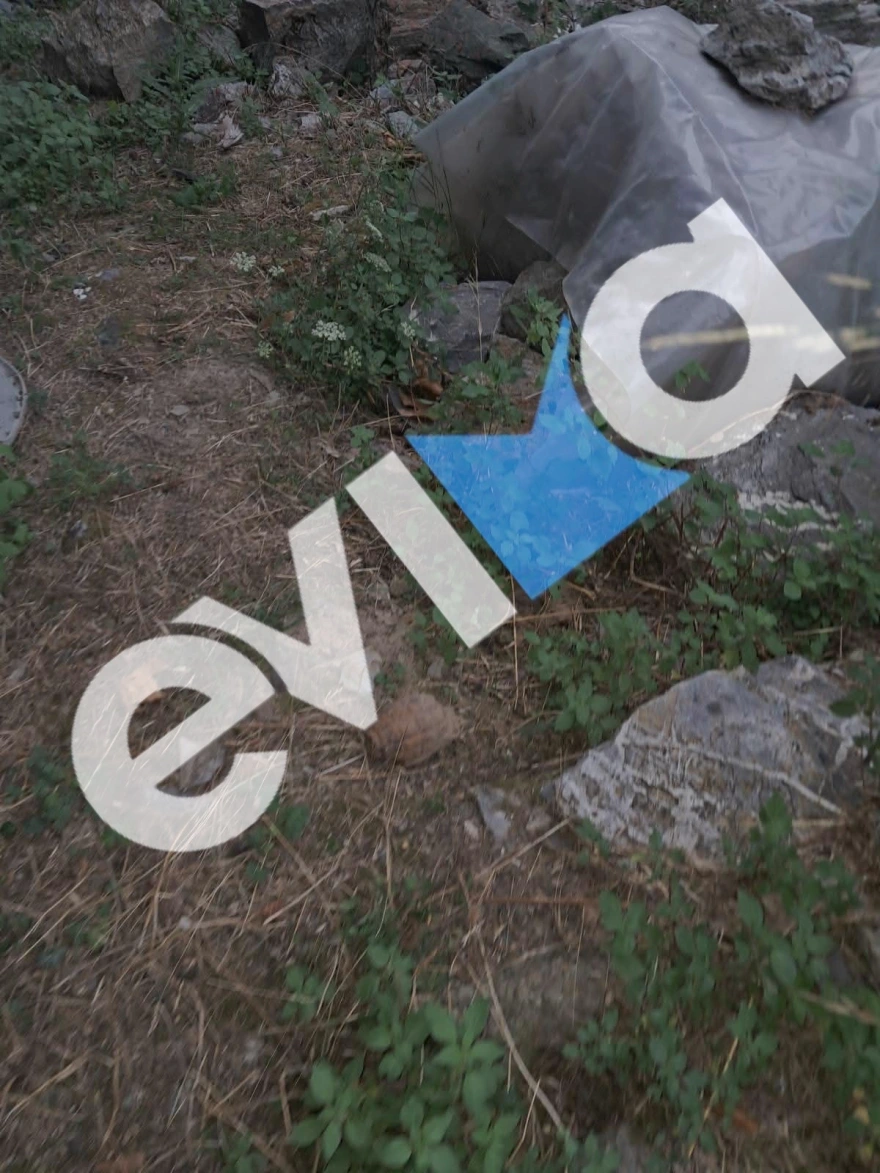 Συναγερμός στην Εύβοια: Βρήκε χειροβομβίδα του Β΄ Παγκοσμίου Πολέμου - Πώς εντοπίστηκε και πού μεταφέρθηκε