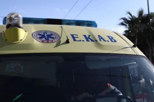 Ρέθυμνο: Επίθεση σκύλου σε μητέρα και 4χρονο παιδί – Πολλαπλά δαγκώματα στο χέρι του κοριτσιού