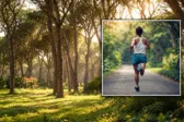 Kalogria Run 2026: Αγώνες 1, 5 και 10 χλμ. στη Στροφυλιά – Πότε κλείνουν οι εγγραφές
