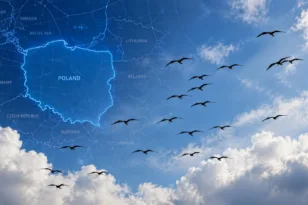 Συναγερμός στην Πολωνία για «εισβολή» από τη Λευκορωσία – Τι έδειξε τελικά το ραντάρ