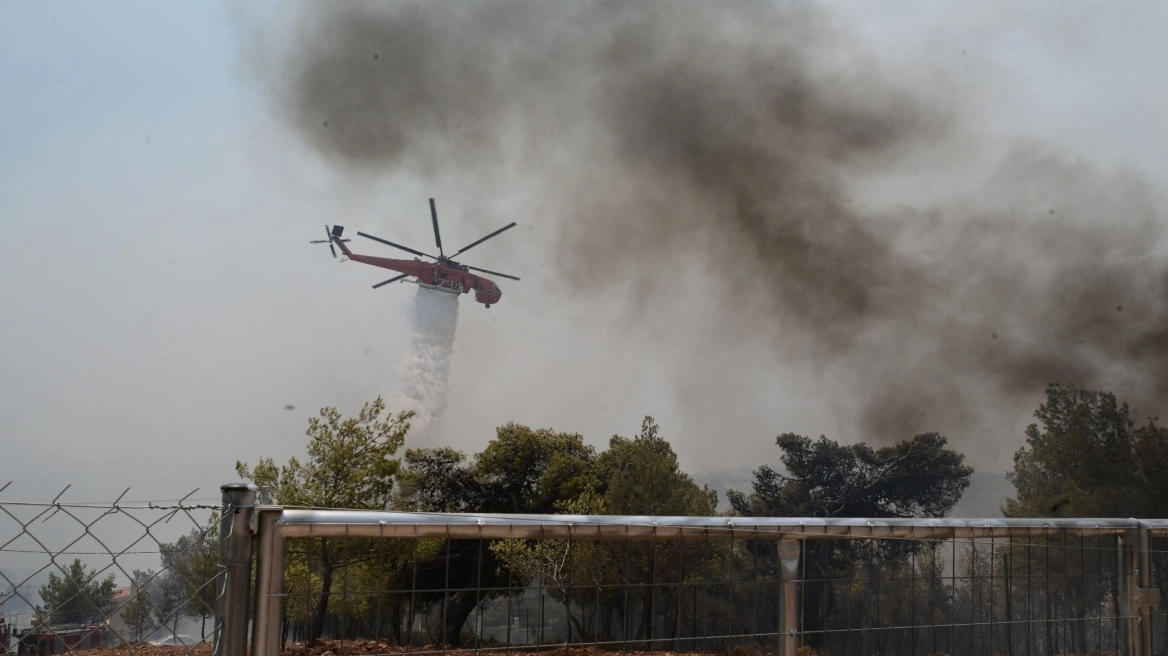 Φωτιά στην Ηλεία: Εκτάσεις στο Κάτω Σαμικό στην κυριαρχία της φλόγας