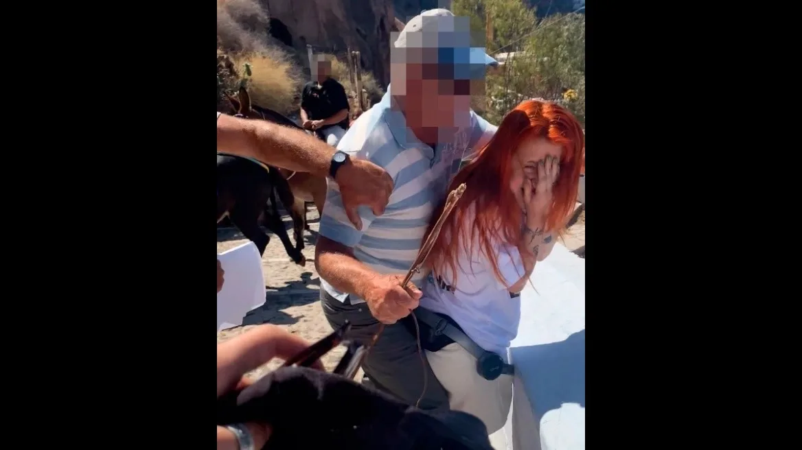 Σαντορίνη: «Μας έσπρωξαν στις σκάλες και χτύπησαν ακτιβίστρια στο πρόσωπο» – Καταγγελία της PETA, ΒΙΝΤΕΟ Σαντορίνη: «Μας έσπρωξαν στις σκάλες και χτύπησαν ακτιβίστρια στο πρόσωπο» – Καταγγελία της PETA, ΒΙΝΤΕΟ