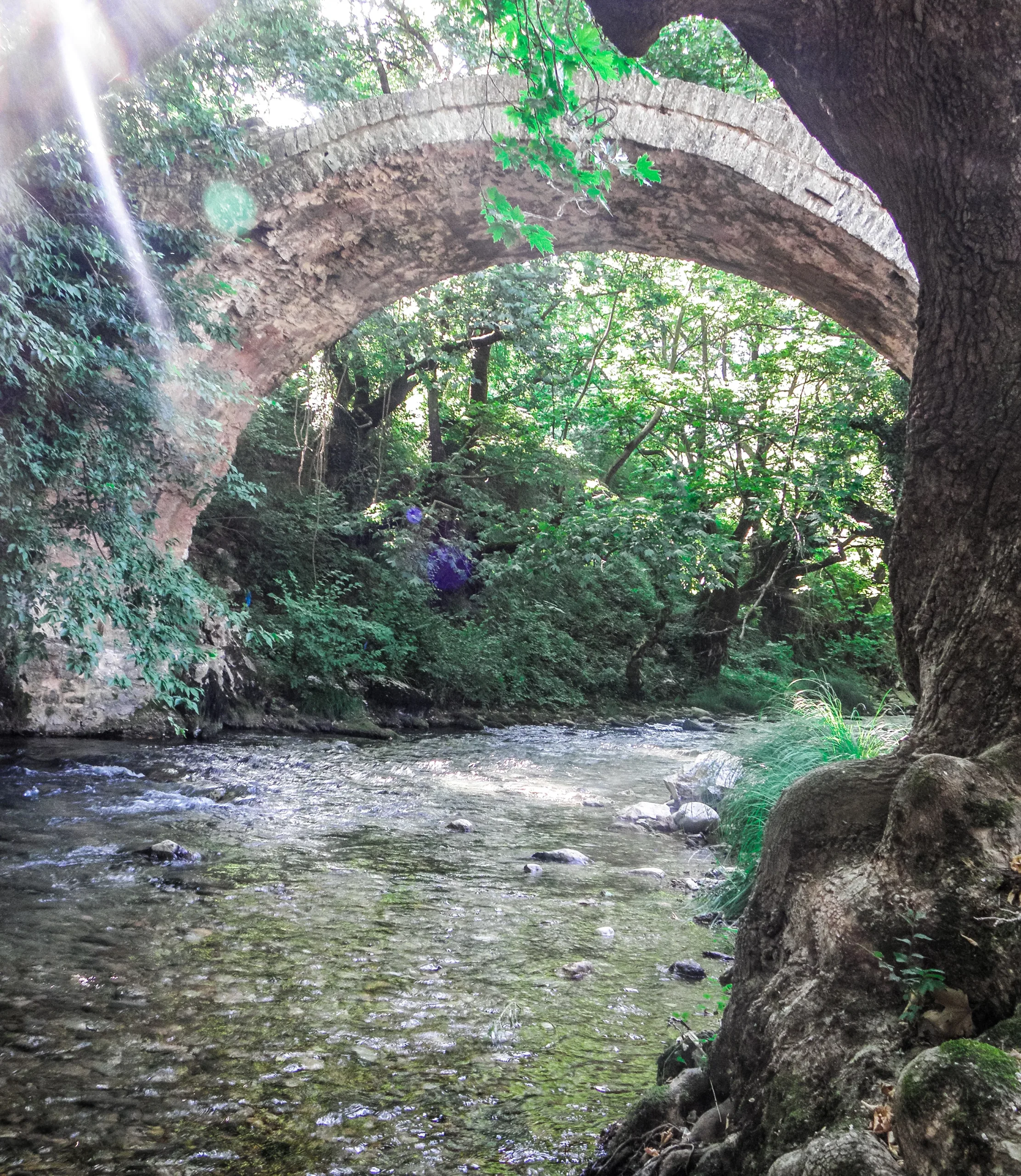 Πελοπόννησος: Το road trip με τρία ποτάμια, τρεις αρχαίες πόλεις και 6 στάσεις που δεν κάνουμε συχνά