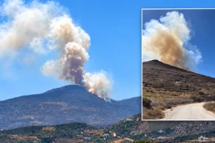 Φωτιά στην Πάρο: 6 εναέρια μέσα στις Λεύκες – Ενισχύσεις από Σύρο και Νάξο
