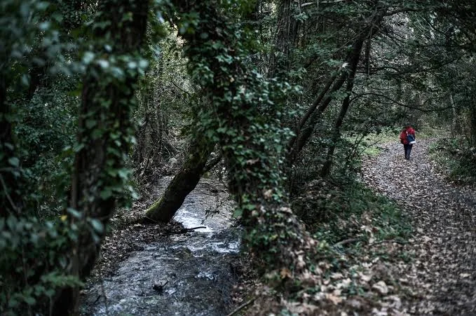 Το καταπράσινο χωριό της Πελοποννήσου που κρύβει φαράγγι, πηγές και πέτρινα γεφύρια Το καταπράσινο χωριό της Πελοποννήσου που κρύβει φαράγγι, πηγές και πέτρινα γεφύρια