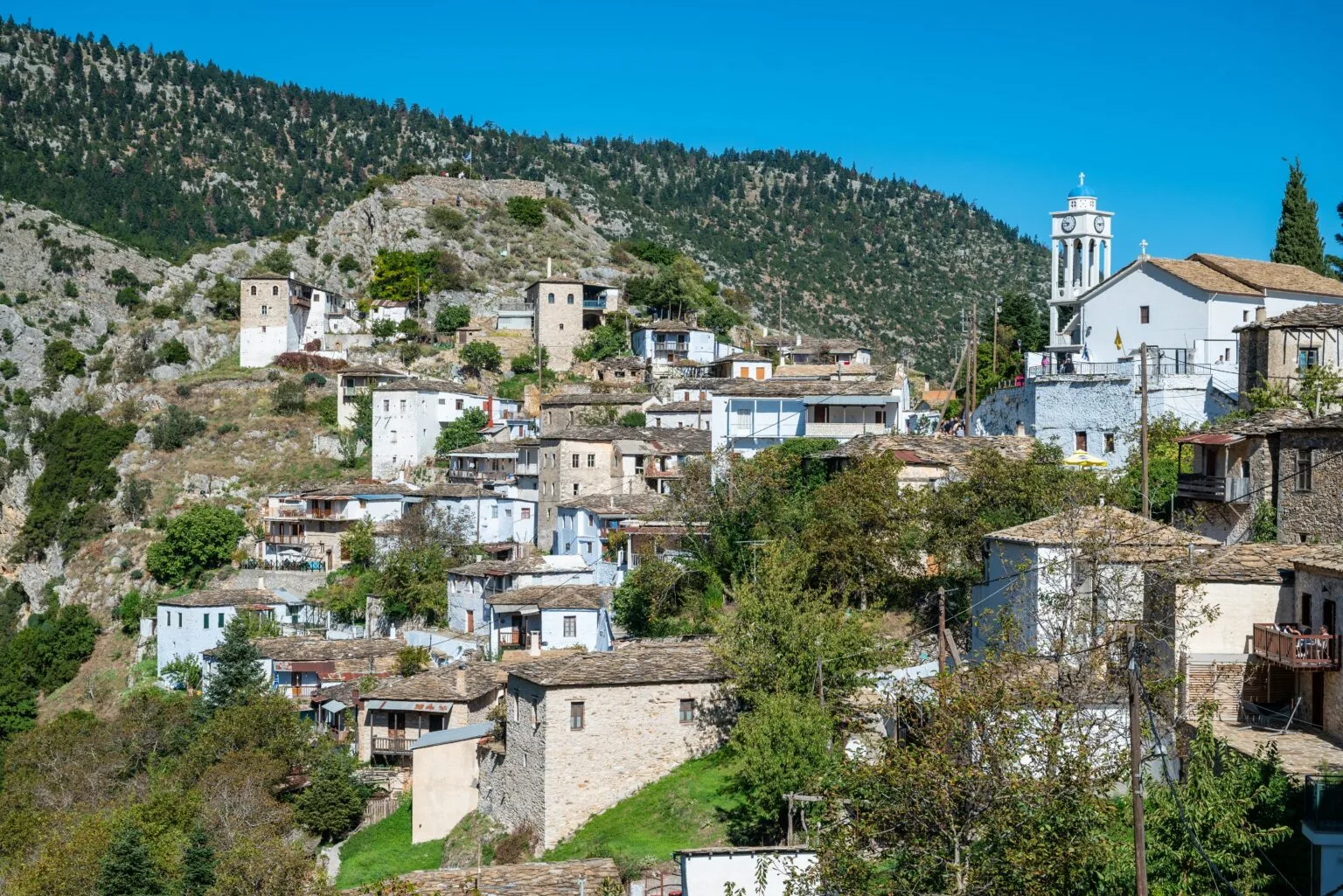 Κρύβεται στον Πάρνωνα και κάποτε ήταν πρωτεύουσα: Το χωριό της Πελοποννήσου με τα μεσαιωνικά πυργόσπιτα Η Καστάνιτσα Αρκαδίας μέσα στο καταπράσινο τοπίο του Πάρνωνα