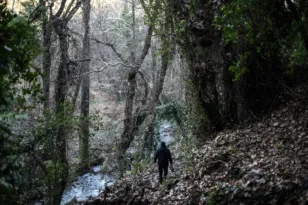 Το καταπράσινο χωριό της Πελοποννήσου που κρύβει φαράγγι, πηγές και πέτρινα γεφύρια