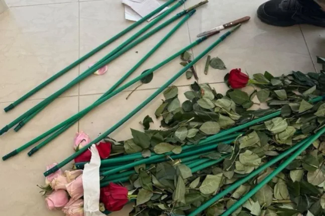 Κοκαΐνη μέσα σε τριαντάφυλλα: Η ΑΑΔΕ μπλόκαρε 80 κιβώτια