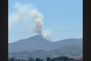 Πάρος: Υπό πλήρη έλεγχο τέθηκε η φωτιά