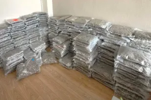 Ναρκωτικά: 300 κιλά skunk κρυμμένα σε νταλίκα – Πάνω από 1,2 εκατ. ευρώ η αξία