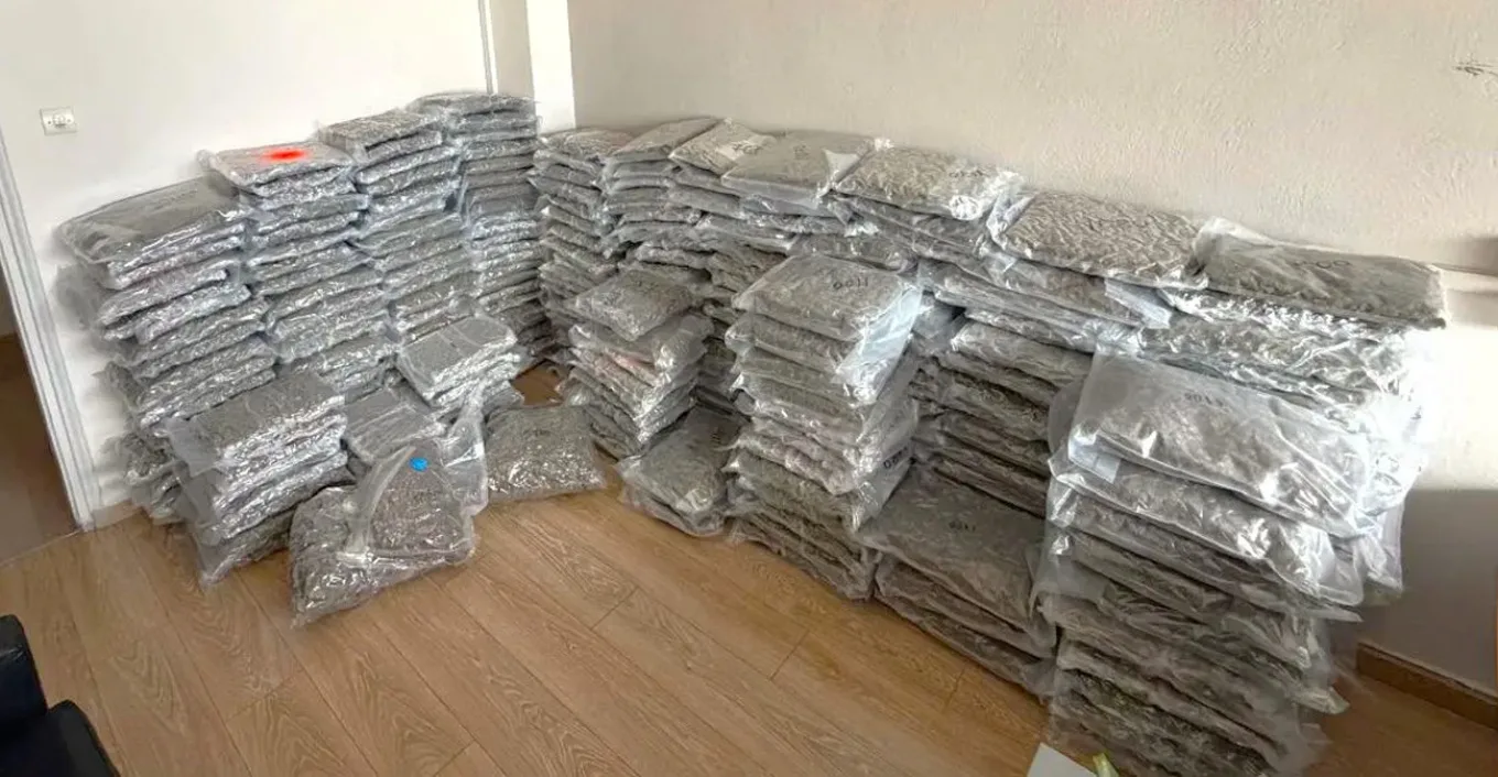 Ναρκωτικά: 300 κιλά skunk κρυμμένα σε νταλίκα – Πάνω από 1,2 εκατ. ευρώ η αξία | Ειδήσεις