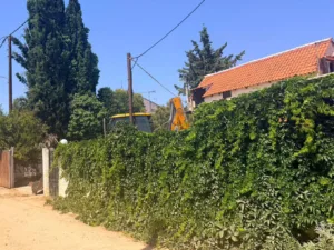 «Δεν θυμάμαι πού την έχω θάψει», ομολογία σοκ στους αστυνομικούς της κόρης που έθαψε τη μητέρα της σε κήπο στον Μαραθώνα, ΦΩΤΟ