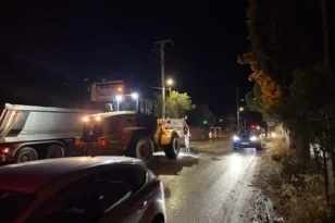 ΒΙΠΕ – Θεριανό: Σταφύλια χύθηκαν στο οδόστρωμα και προκάλεσαν ολισθηρότητα