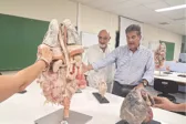 Το ανθρώπινο σώμα σε πρώτο πλάνο: Η δωρεά Μεντζελόπουλου αλλάζει την ιατρική εκπαίδευση στην Πάτρα