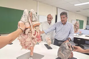 Το ανθρώπινο σώμα σε πρώτο πλάνο: Η δωρεά Μεντζελόπουλου αλλάζει την ιατρική εκπαίδευση στην Πάτρα