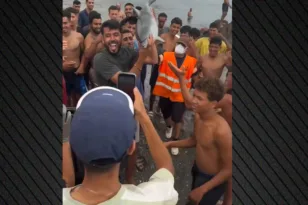 Οργή στη Θέουτα για τον θάνατο μικρού δελφινιού – Καταγγελίες για βίαιη κακοποίηση