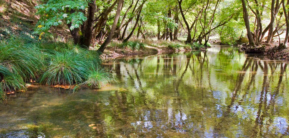 Φθινόπωρο στην Αχαΐα: 5 ορεινά χωριά που αξίζει να επισκεφθείς Φθινόπωρο στην Αχαΐα: 5 ορεινά χωριά που αξίζει να επισκεφθείς