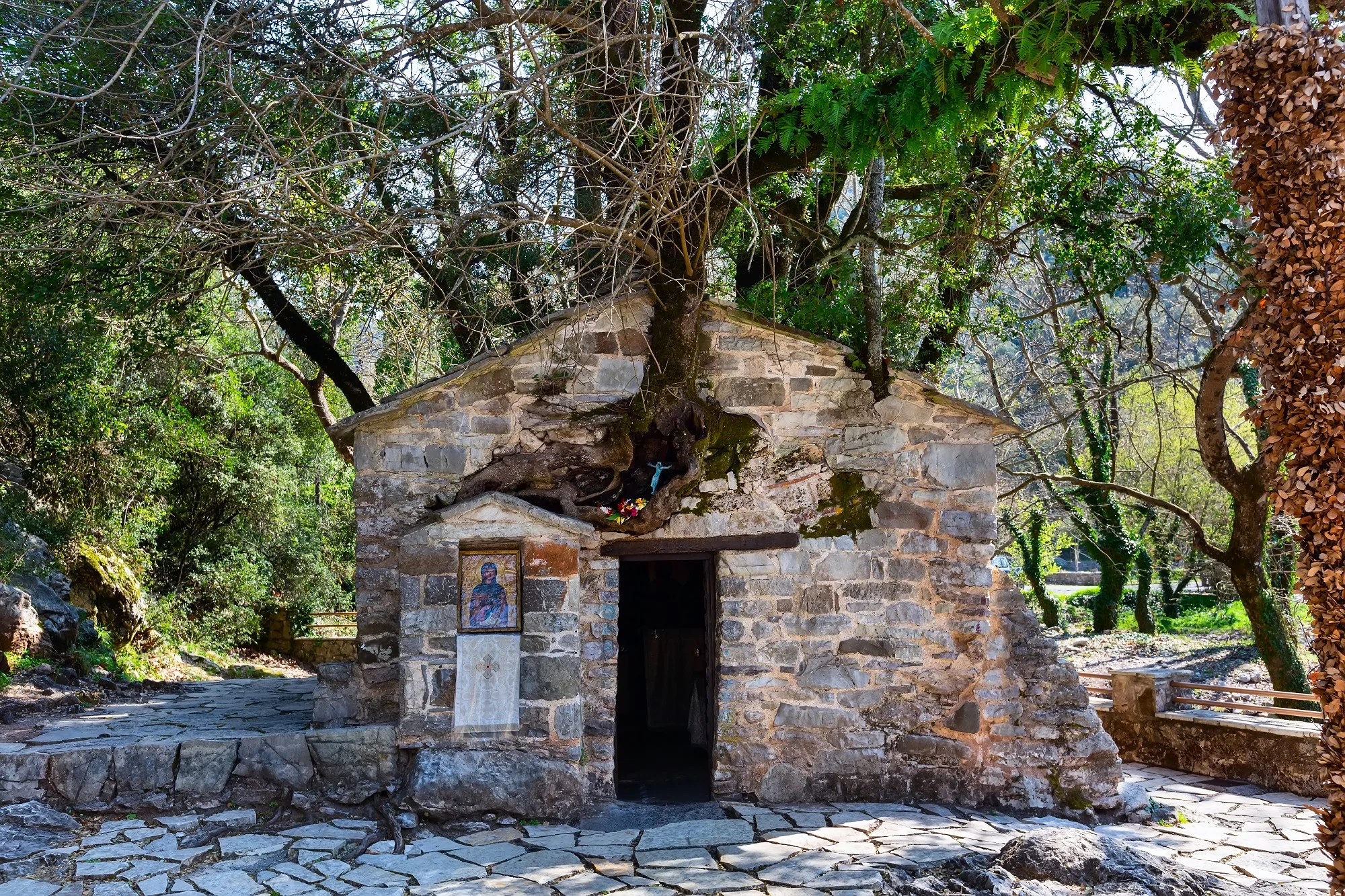 Ένα μικρό εκκλησάκι «σηκώνει» 17 δέντρα – Το απίστευτο τοπίο κρύβεται στην Πελοπόννησο