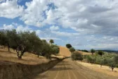 Ερύμανθος: Ξεκίνησαν οι εργασίες αγροτικής οδοποιίας στα Κριθαράκια προς τον οικισμό Κάκιζας