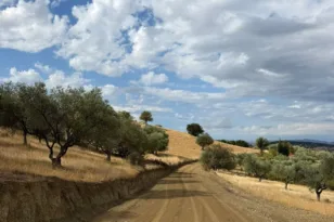 Ερύμανθος: Ξεκίνησαν οι εργασίες αγροτικής οδοποιίας στα Κριθαράκια προς τον οικισμό Κάκιζας