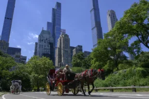 Νέα Υόρκη: Τέλος στις άμαξες με άλογα στο Central Park μετά από 160 χρόνια