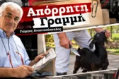 Απόρρητη Γραμμή: Ένας χρόνος φυλακή για μια κατσίκα και η «Οδύσσεια» ενός 67χρονου Πατρινού