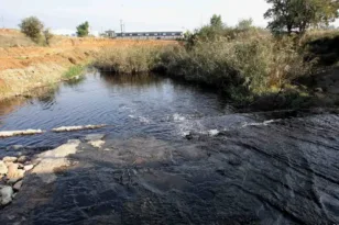 Συναγερμός για τον Ασωπό: Βακτήρια Vibrio σε 5 σημεία – Τι έδειξαν οι αναλύσεις του ΠΑΚΟΕ