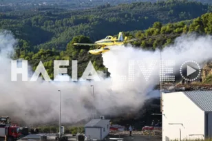Πύργος: Πυρκαγιά στο ΧΥΤΥ Τριανταφυλλιάς – Επιχειρούν και εναέρια μέσα