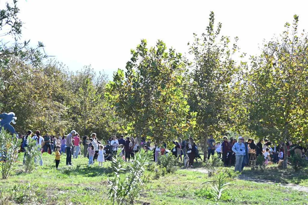 Πάτρα: Το Πλατανόδασος γέμισε κόσμο – Μουσική, δημιουργία και παιχνίδι στη γιορτή της φύσης Πάτρα: Το Πλατανόδασος γέμισε κόσμο – Μουσική, δημιουργία και παιχνίδι στη γιορτή της φύσης