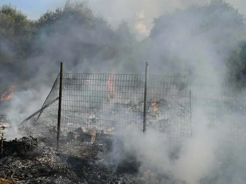 Αίγιο: Φωτιά κοντά στον Σελινούντα – Στις φλόγες σκουπίδια και ξερά χόρτα στα Βαλιμίτικα