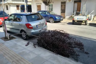 Πάτρα: Σπασμένο δέντρο στην Περγάμου και Νίκαιας – Έκκληση κατοίκου για άμεση στήριξή του