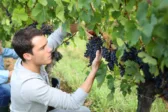 Αγροτική γη προς μίσθωση: Κρατικά χωράφια προς αξιοποίηση και στην Αχαΐα