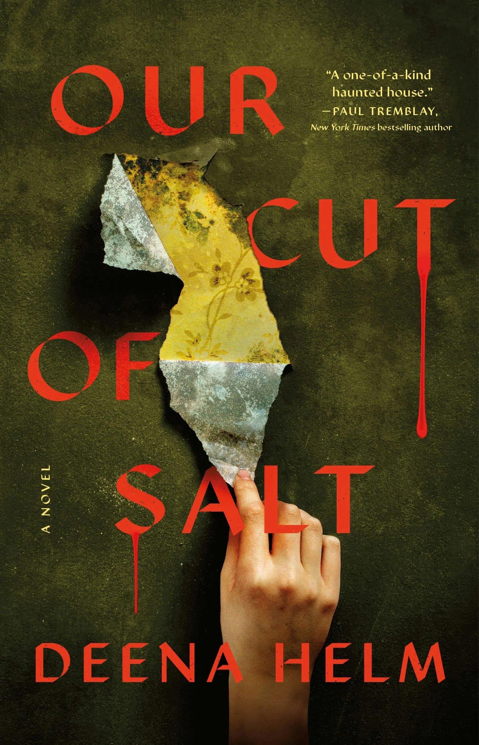 Our Cut of Salt: Το σπίτι που δεν ξέχασε όσους εκδιώχθηκαν Το πράσινο και κόκκινο εξώφυλλο του Our Cut of Salt της Deena Helm