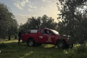 Αγρίνιο: Τραγική κατάληξη στην εξαφάνιση της 80χρονης – Ταυτοποιήθηκε μέσω DNA