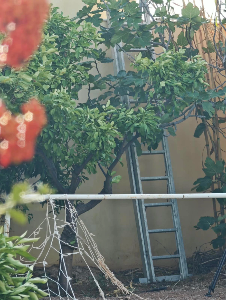 Λαύριο: Με δύο μαχαίρια έφτασε ο 32χρονος – Πήρε άλλο από την κουζίνα και επιτέθηκε στο ζευγάρι Λαύριο: Με δύο μαχαίρια έφτασε ο 32χρονος – Πήρε άλλο από την κουζίνα και επιτέθηκε στο ζευγάρι