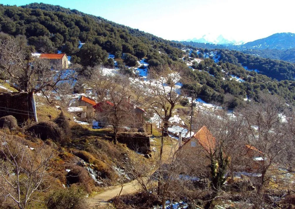 Κυριακή στα ορεινά της Πάτρας: 5 χωριά, 5 ταβέρνες και η βόλτα πριν από το τραπέζι Κυριακή στα ορεινά της Πάτρας: 5 χωριά, 5 ταβέρνες και η βόλτα πριν από το τραπέζι